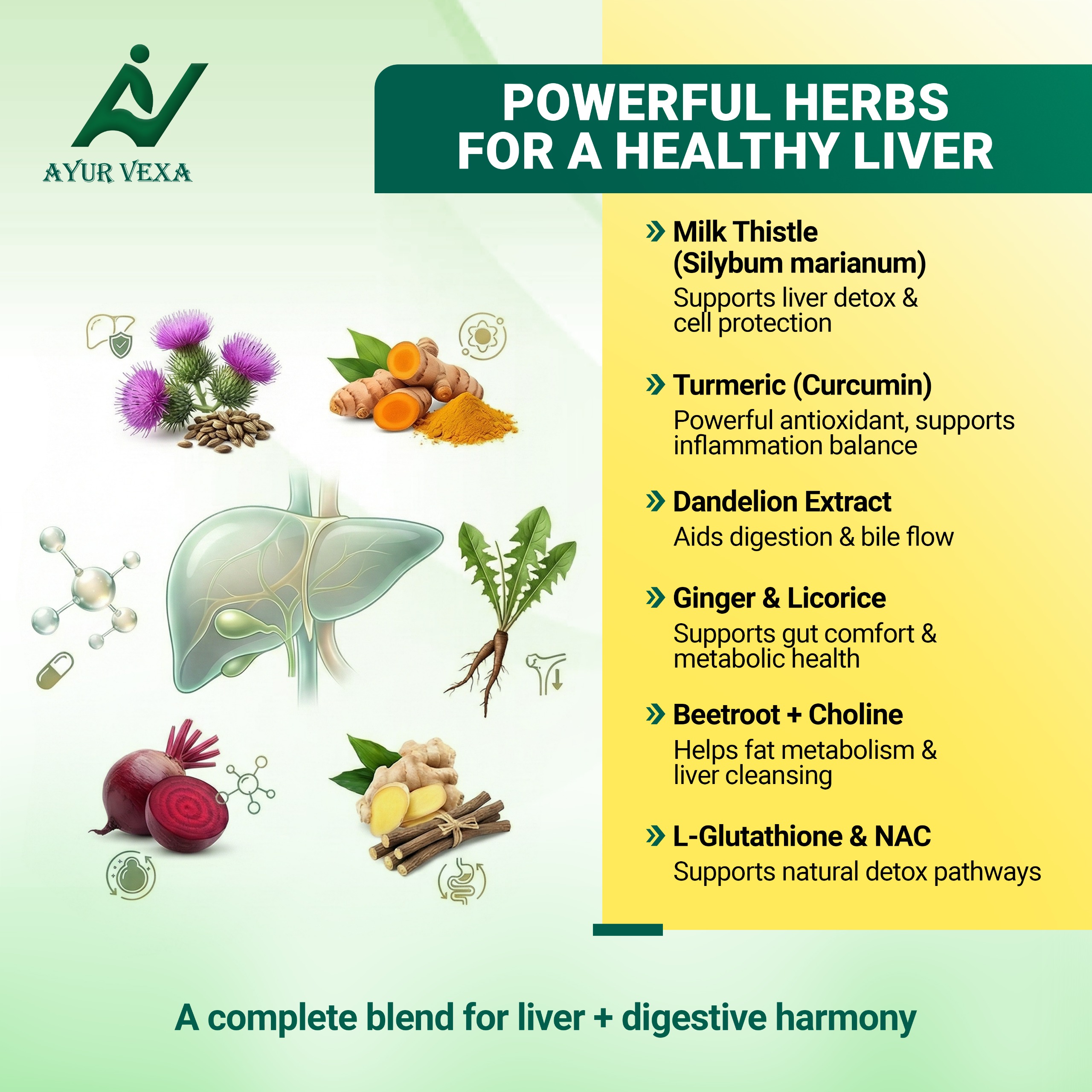 Ayurvexa Liver Support – Advanced Liver Detox Supplement
